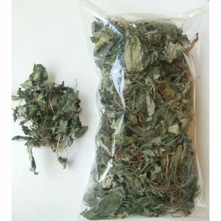 

Daun Gempur batu kering 100 gram