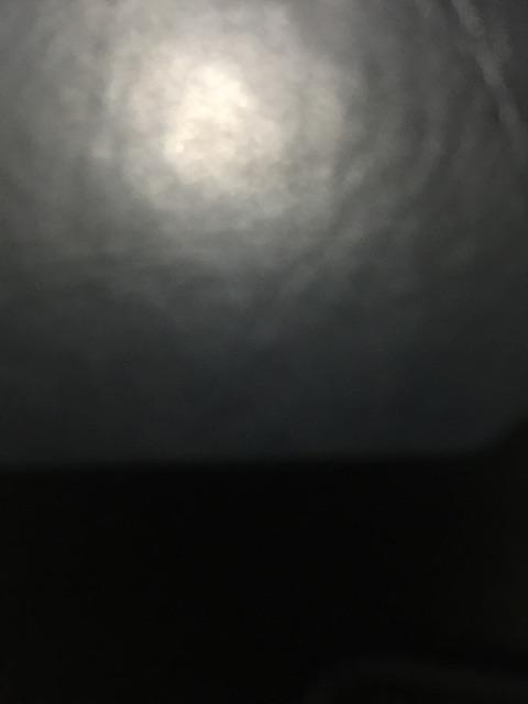 Green Bean Arabica Flores Manggarai Yellow Caturra 1kg