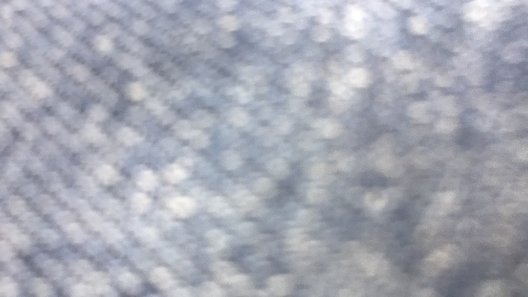 Pot Plastik Vas Bunga Vas Cantik  Pot Bunga Plastik Tanaman Hiasdekorasi Dan Perlengkapan Rumah