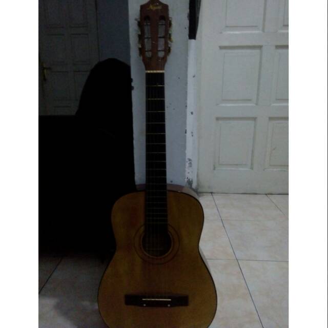 Gitar kapok