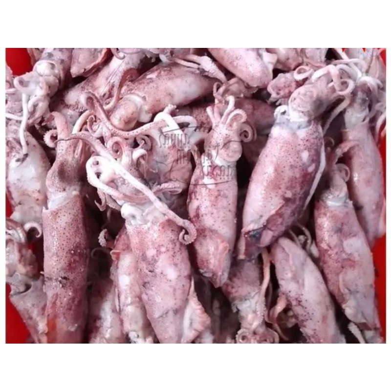 

zv cumi asin 75 g