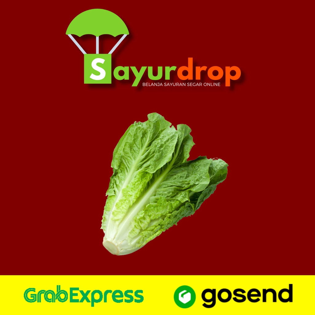

BABY Selada Lettuce Romaine 500 Gram - Segar Higienis Murah - Instant/Same Day Delivery (Sayurdrop)
