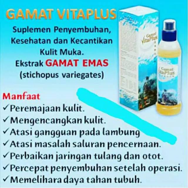 Gamat Vitaplus K Link Ekstrak Gamat Emas Vita Plus K Link Indonesia