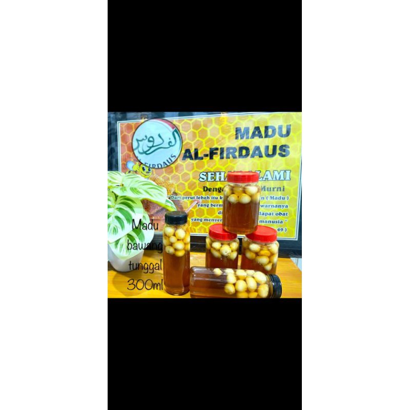 

madu baduy bawang lanang