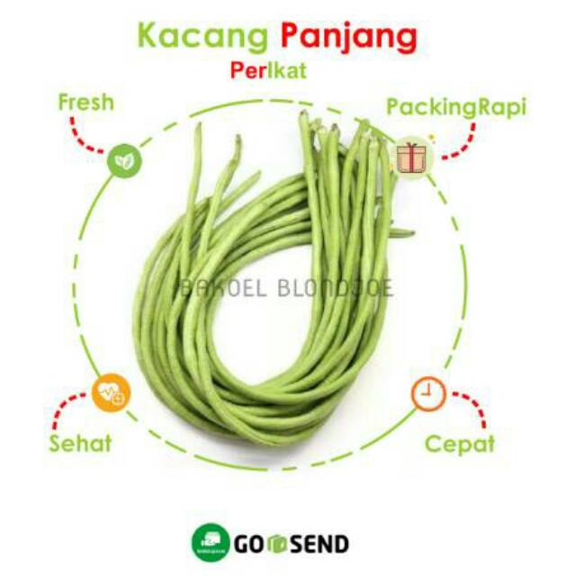 

KACANG PANJANG / LONG BEANS / FRESH VEGETABLES / VEGETABLE / SAYUR SAYURAN SEGAR 500GR / SAYUR MURAH