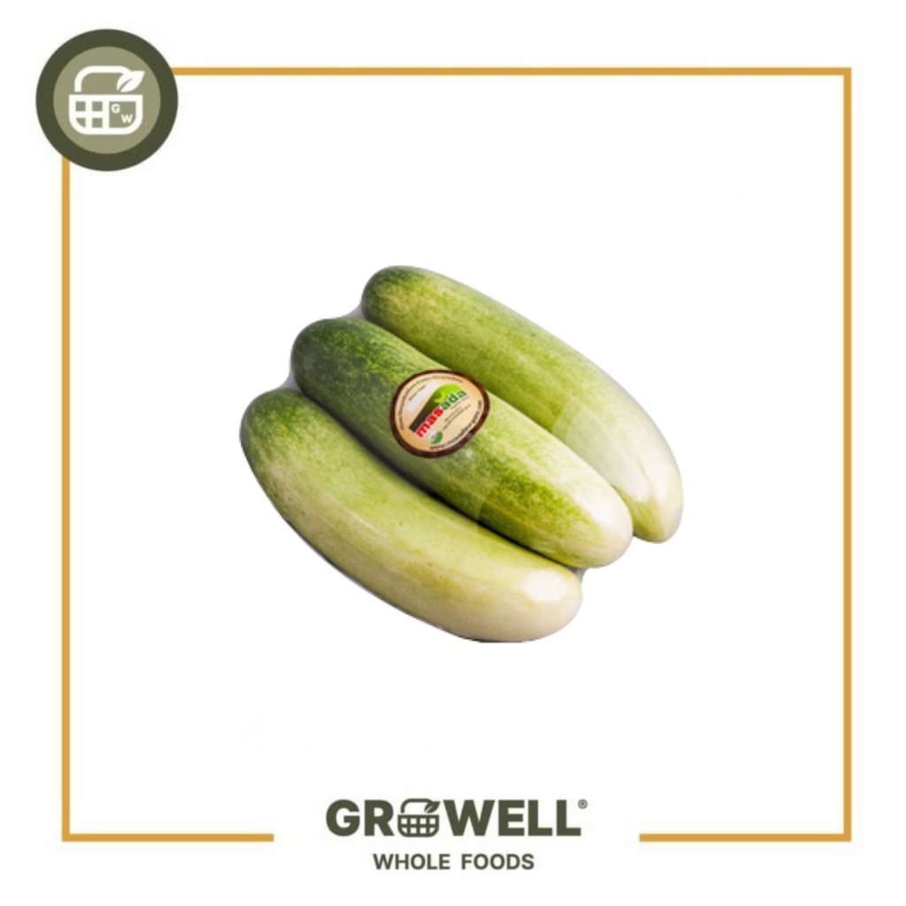 

MASADA TIMUN ORGANIC