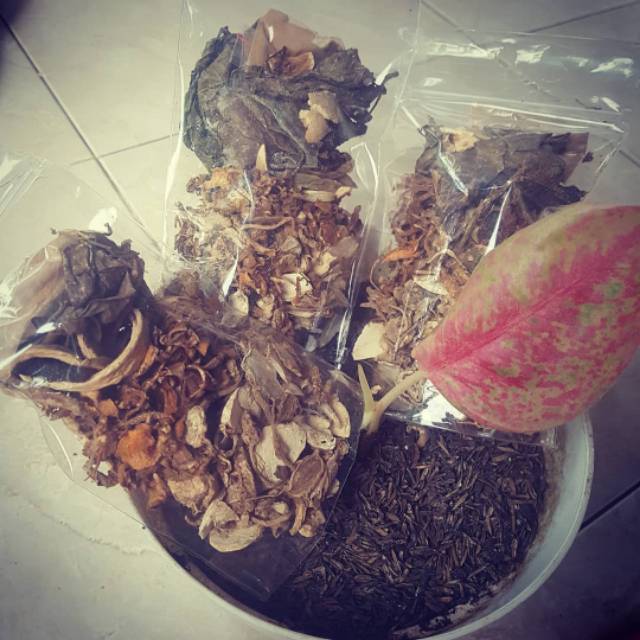 

Jamu Anti PELAKOR instan Herbal