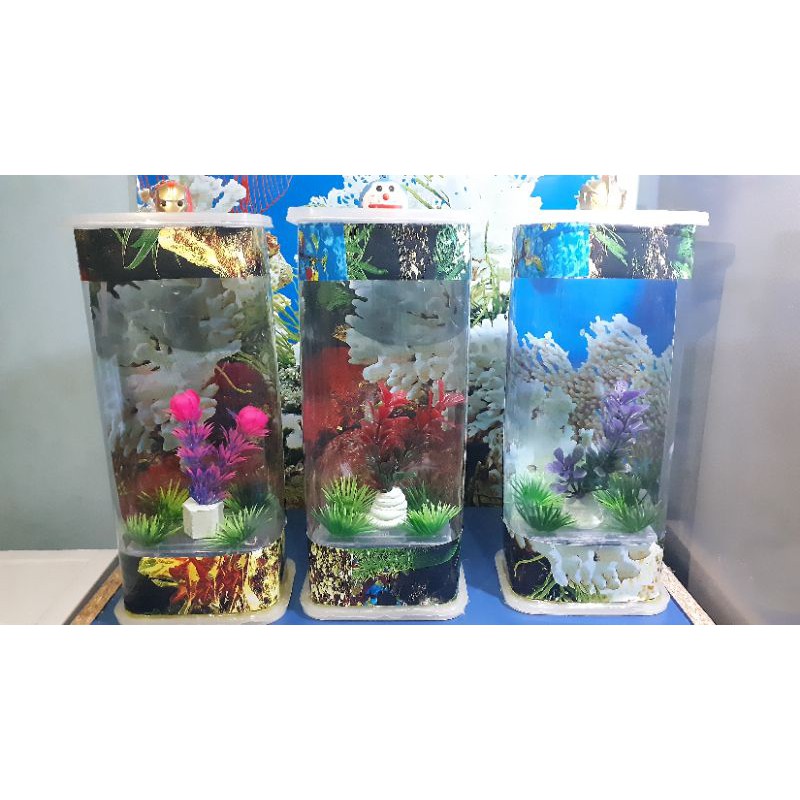 64 Contoh Aquarium Mini Dari Kardus Gratis Terbaru