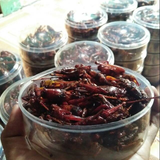 

Walang Goreng toepan asli walang kayu.. Isi banyak