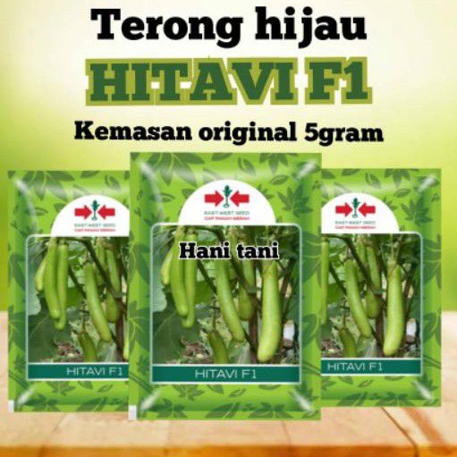 BENIH BIBIT TANAMAN PERTANIAN SAYURAN TERONG HIDROPONIK