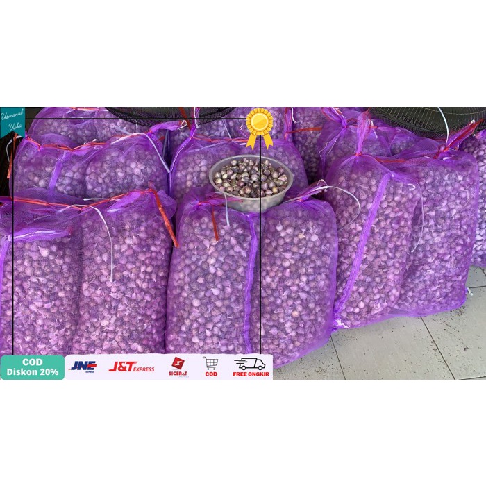 

◾COD◾ Bawang Putih Tunggal/Lanang Kulit Ungu 1kg