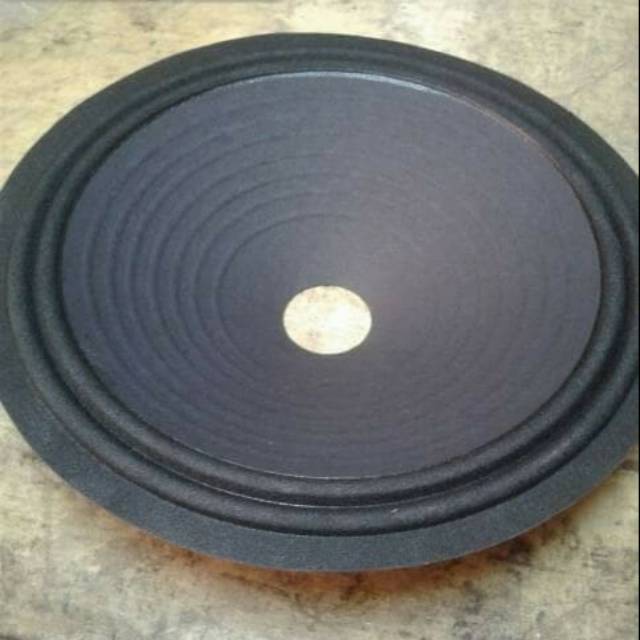 Daun speaker 10 inch fulrange 2 pcs