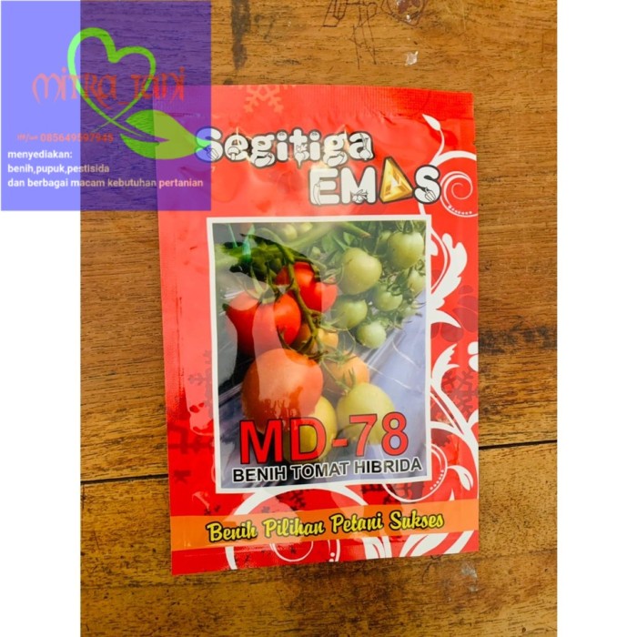 Benih Tomat Hibrida MD-78 isi 5 gr dari SEGITIGA EMAS