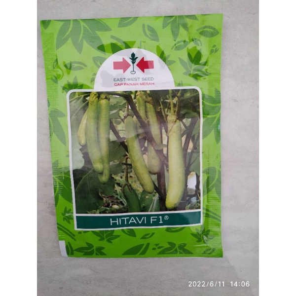 bibit terong HITAVI F1  terong hijau panah merah (±1.100 btr)