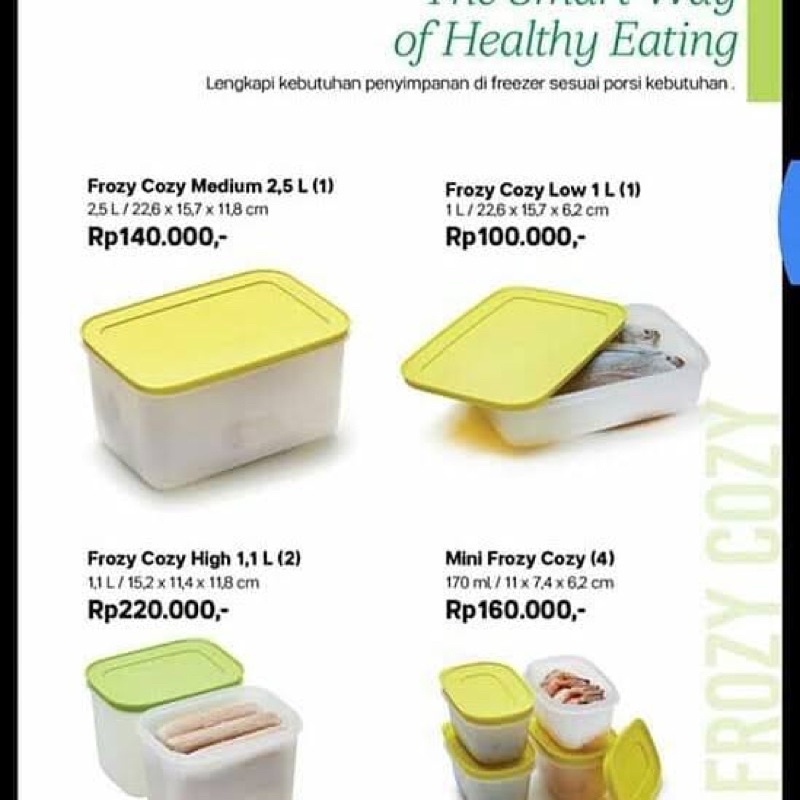 TUPPERWARE FROZY COZY