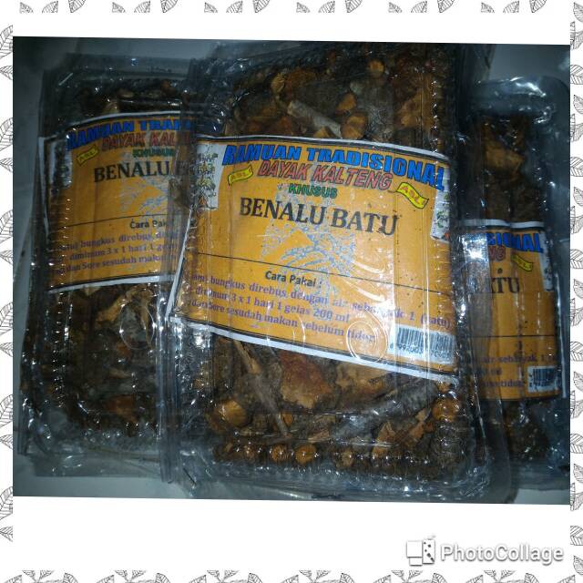 BENALU BATU KALIMANTAN-OBAT DIABETES-TUMOR