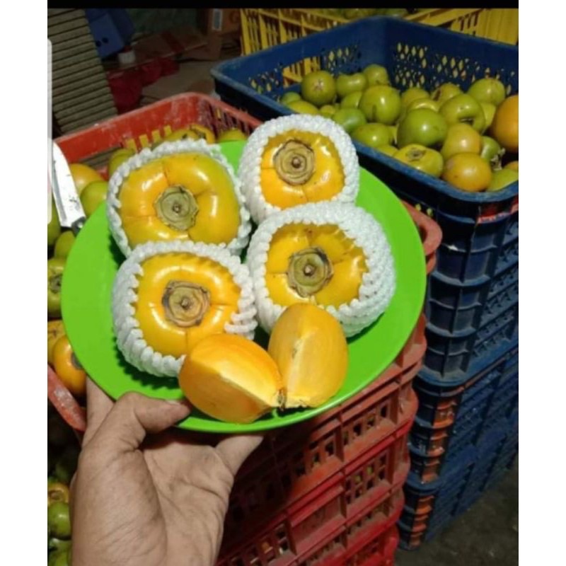 

Buah Kesemek 1 KG