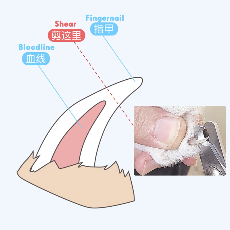 Gunting Kuku Kucing/Anjing Besar Dengan Nail File