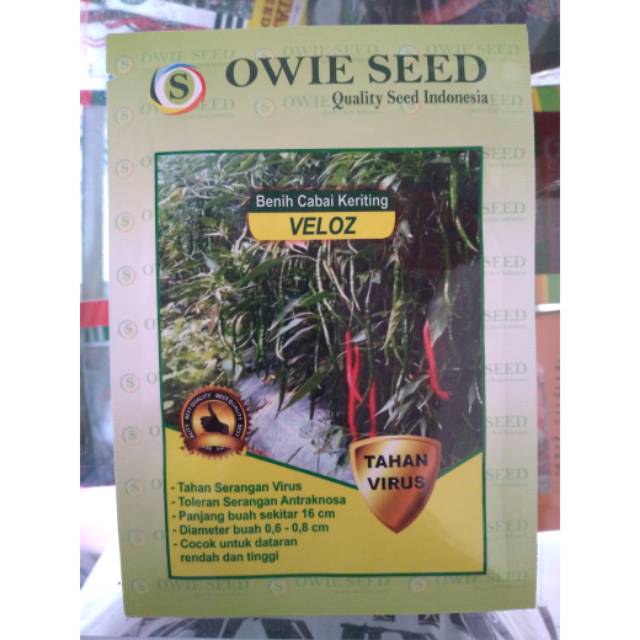 MURAH Benih Cabai Keriting VELOZ Owie Seed 12.5 Gram