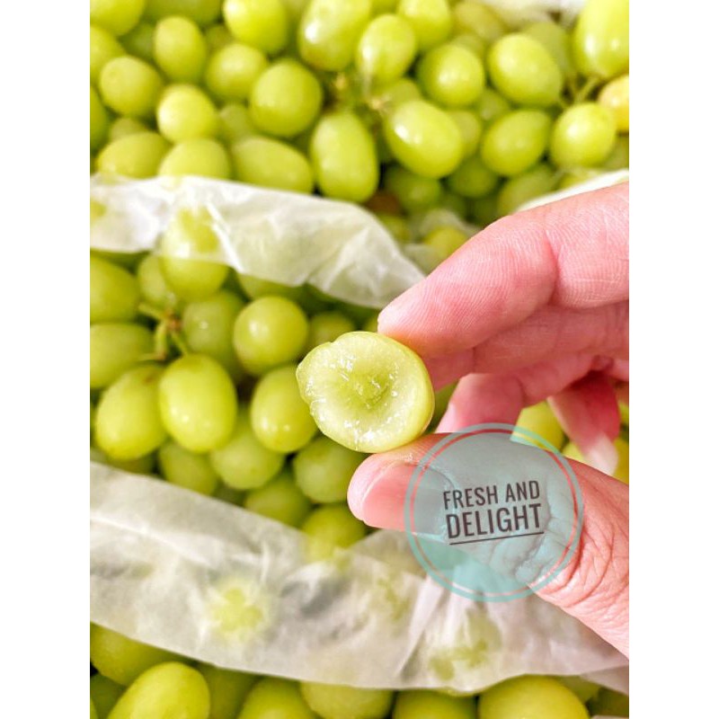

Anggur Hijau Thompson Seedless Premium