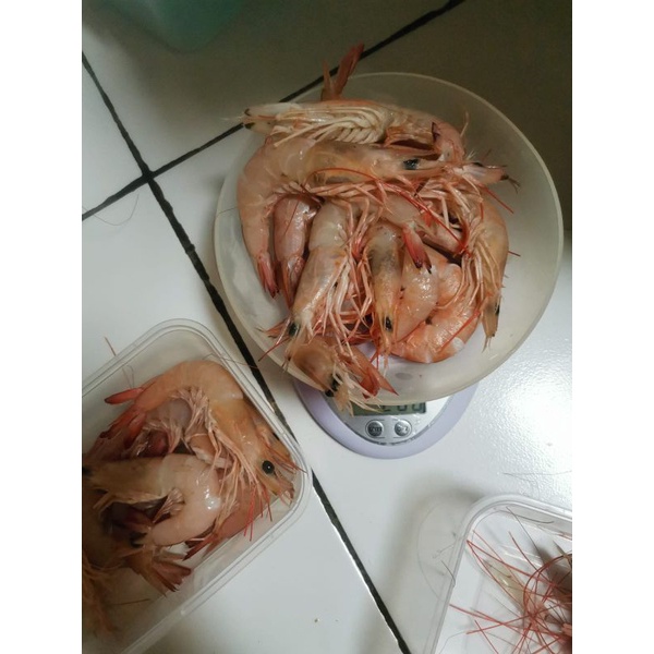 

udang krosok