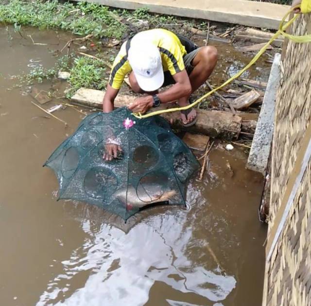 Bubu Ikan Perangkap ikan Jaring jala Bulat Lipat Kepiting Udang Belut otomatis 2 6 8 12 16 20 Lubang