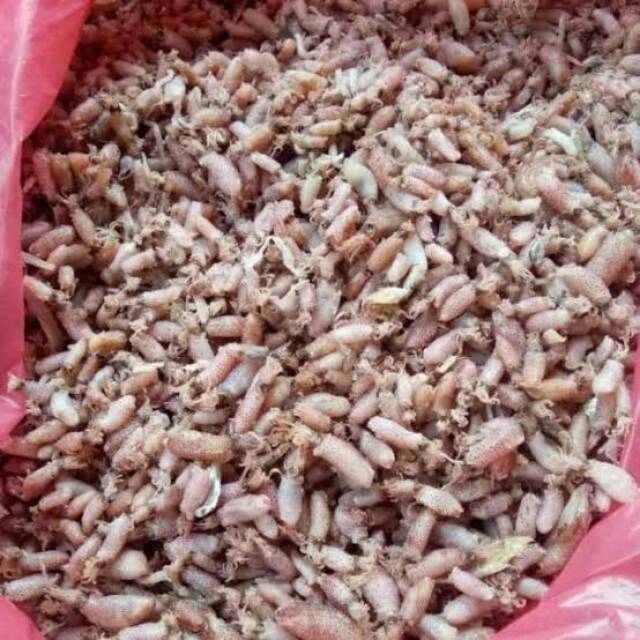 Baby Cumi/Cumi Asin / Cumi Asin Rebus / Cumi Baby Asin / Sotong 250 gr