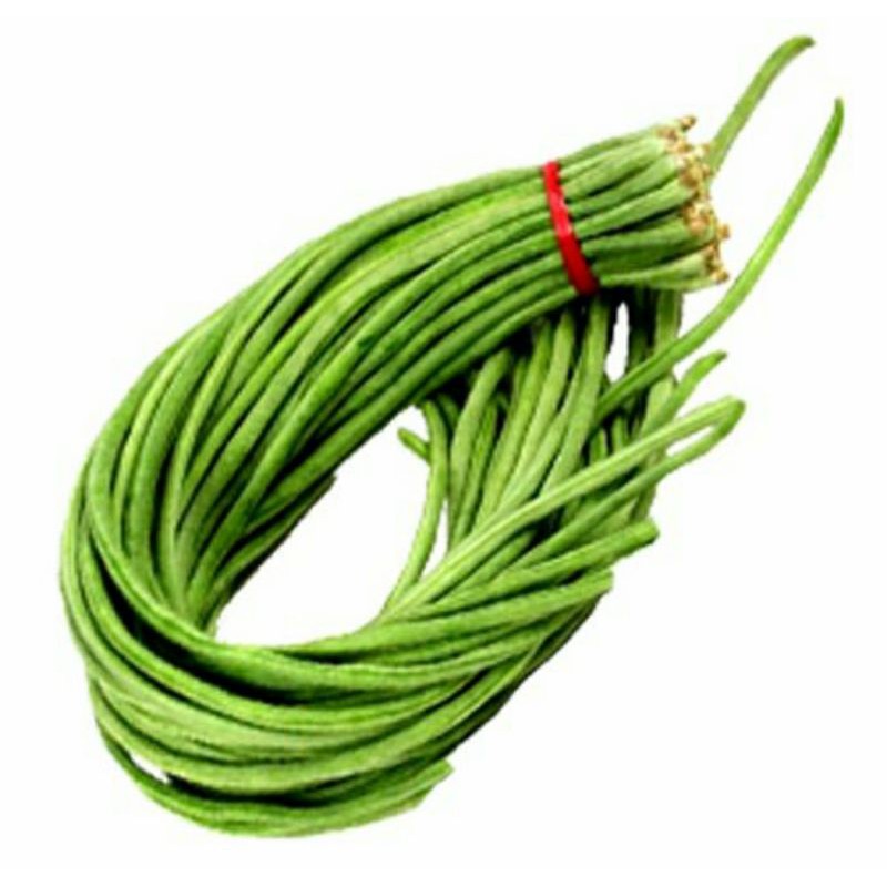 

Kacang Panjang Premium