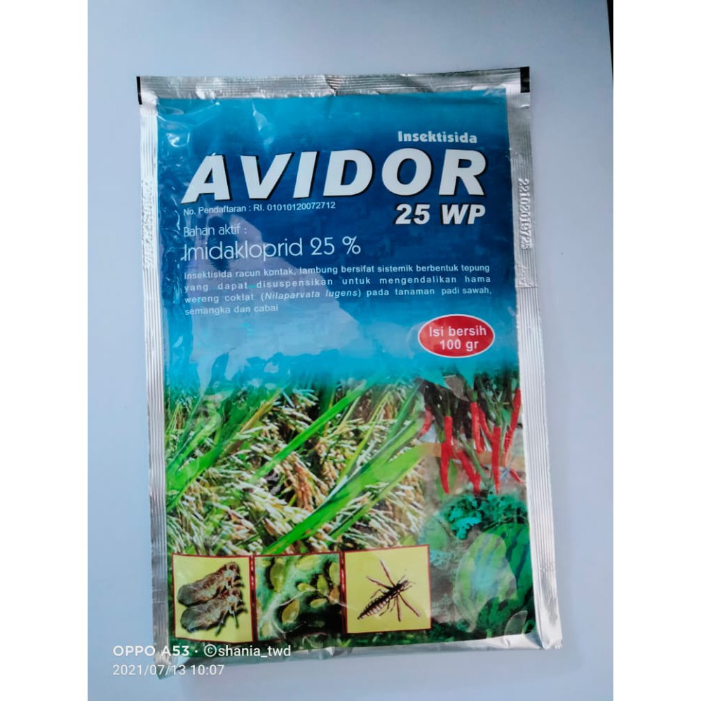 Avidor 25WP