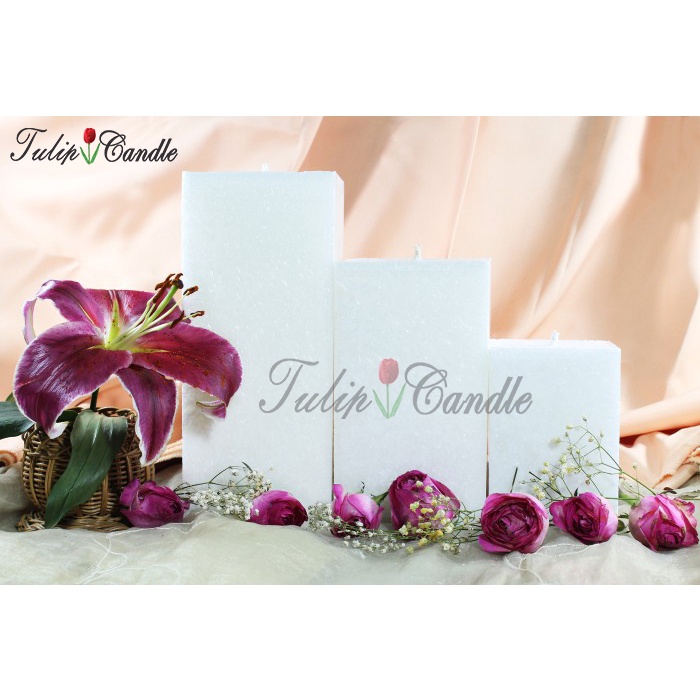 TULIP CANDLE carolina Lilin Stearin Kotak