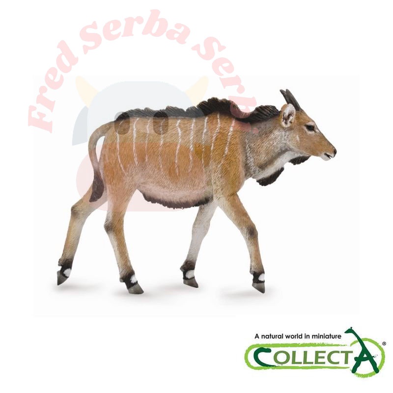 CollectA Giant eland Calf Figure