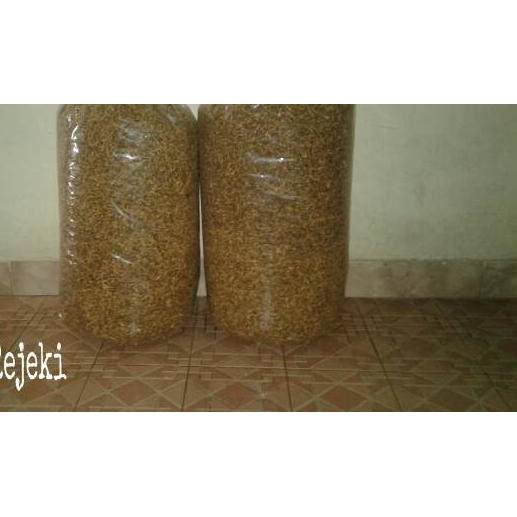 

Terbaik|SQ37|Lorjuk Goreng