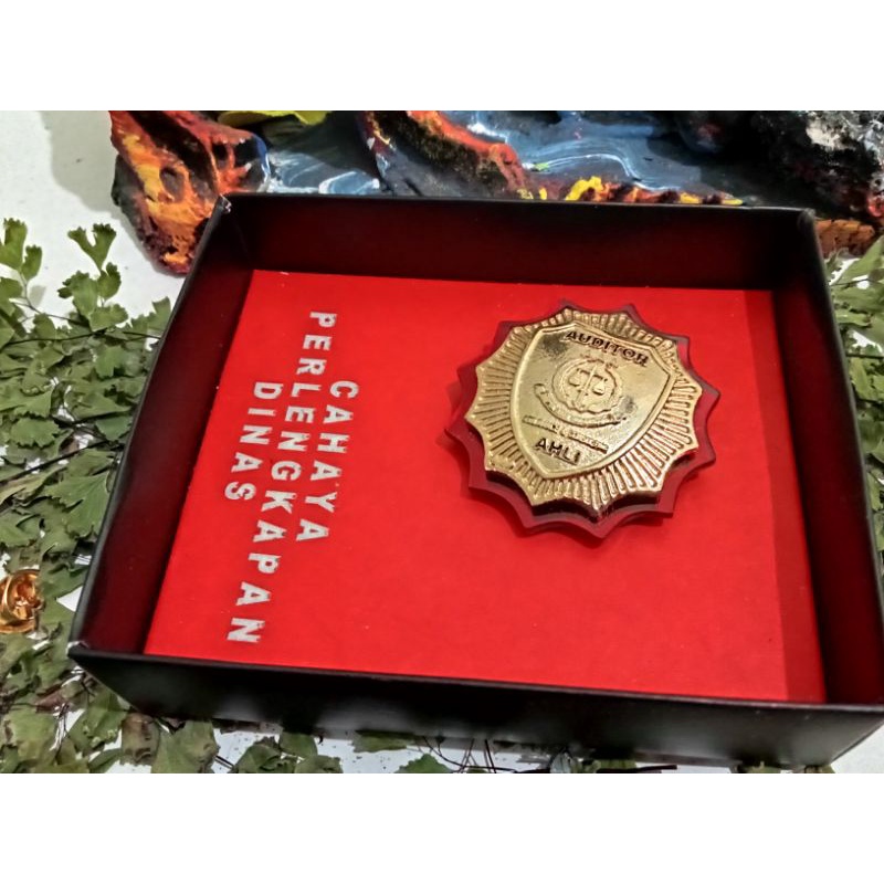Pin Auditor Jaksa Kejaksaan