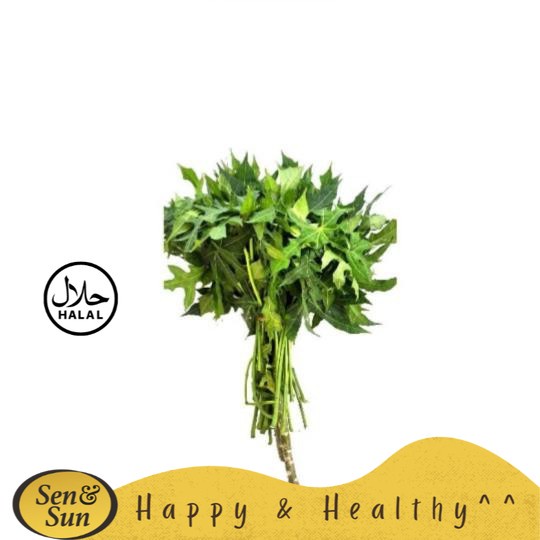 

Sen&Sun Daun Pepaya Jepang 250 gr