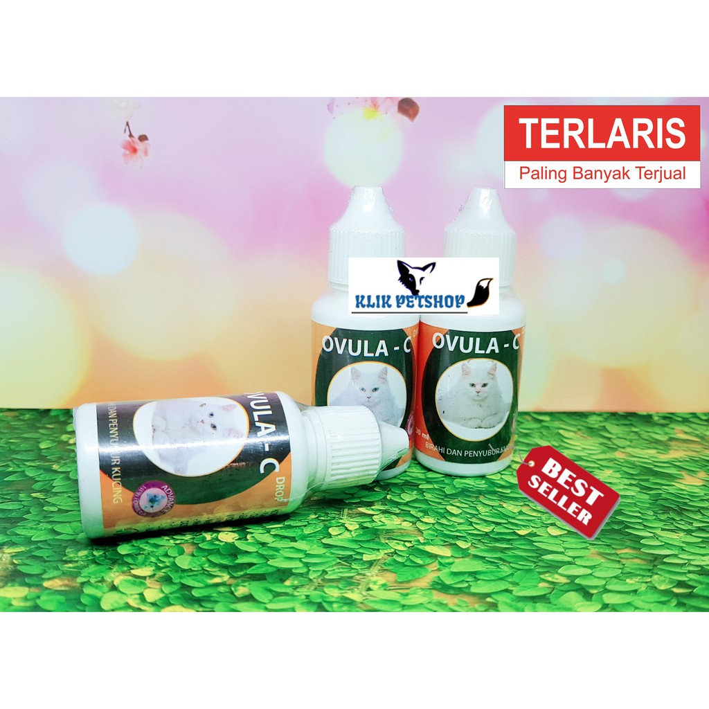 Ovula - C Drop 30mL Obat Suplemen Birahi Penyubur Kucing Betina Jantan