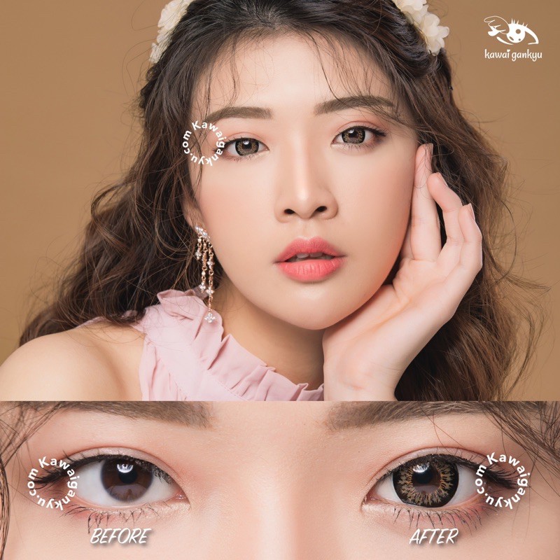 KawaiGankyu softlens - Princess 325 brown (1botol)