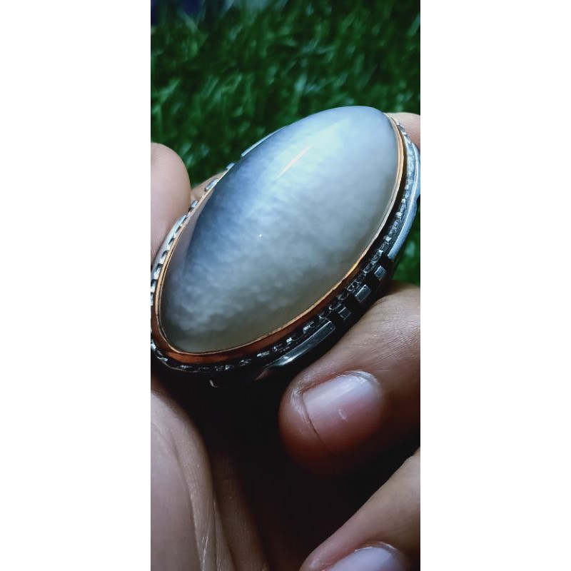 PANDAN KAPAS BABON TOP QUALITY