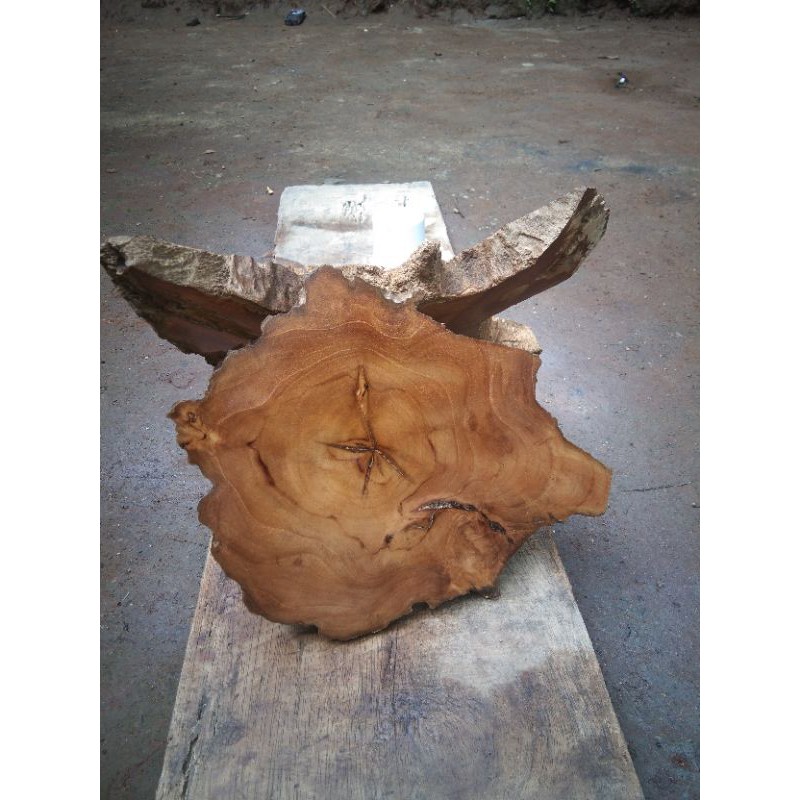 

papan akar jati per lembar