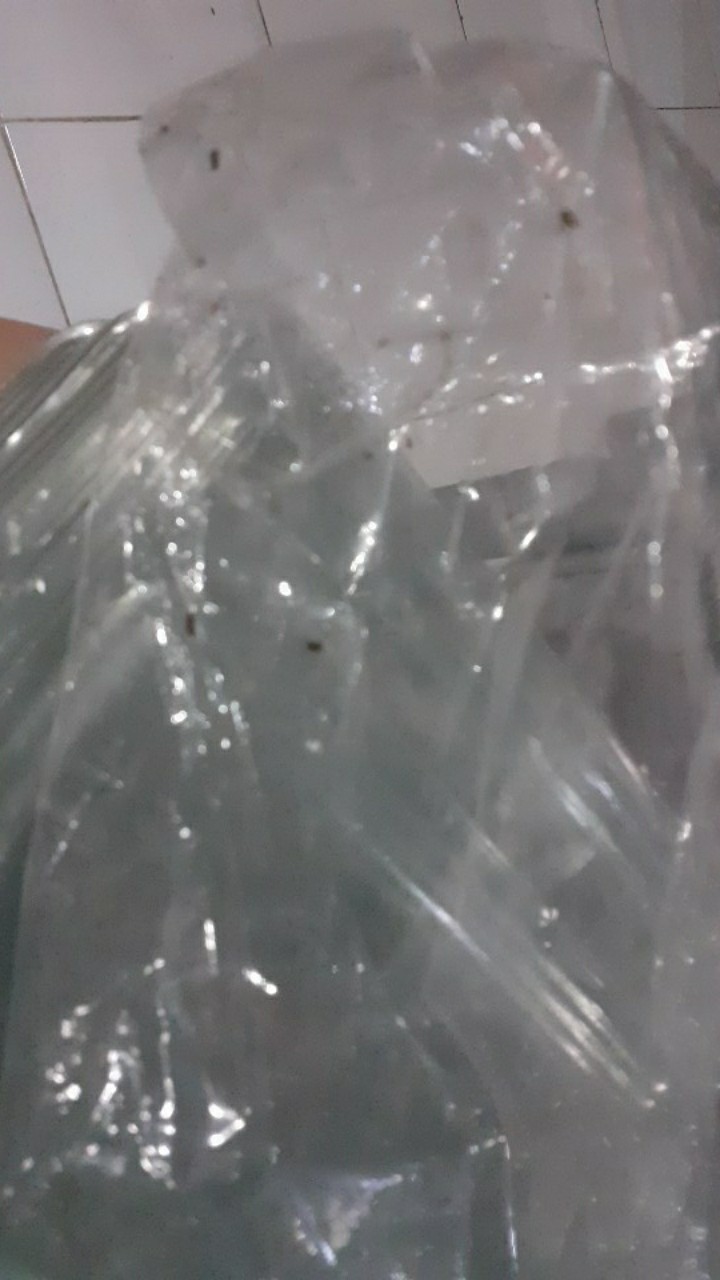 Mika Bento Sekat 5 / Box Bento Sekat 5 / Mika Bento Besar / Box Bento Besar / Bento Lubang 5