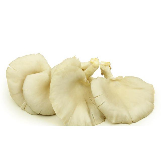

PASAR SEGAR - JAMUR TIRAM 250GR