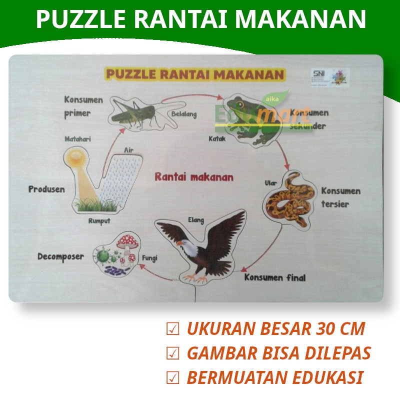 RK Puzzle Rantai Makanan Puzle Ape Edukasi Edukatif Anak Rumah Tk Sd Paud Alat Peraga Pendidikan