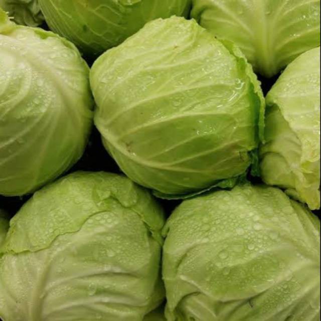 Kol Per Buah 1Kg | Cabbage 1Kg