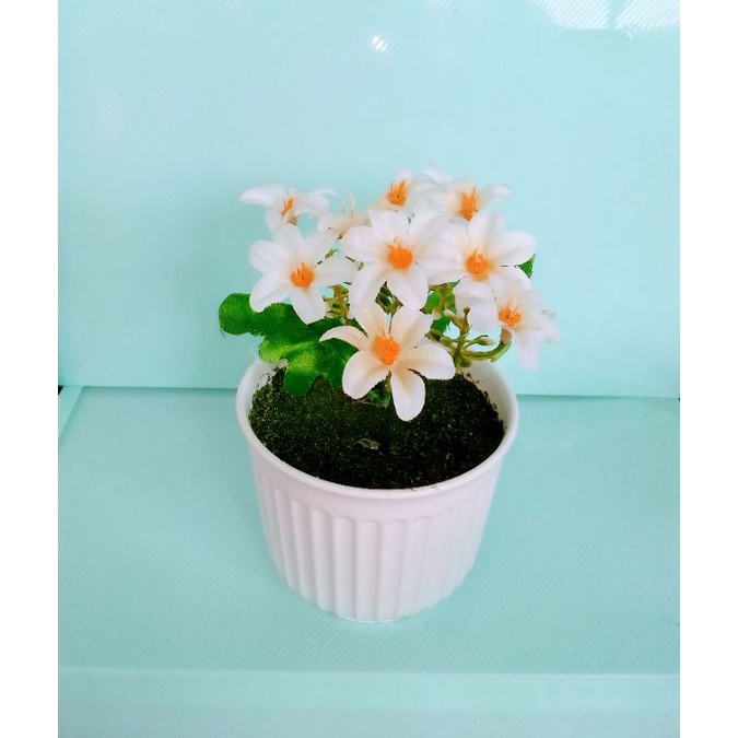 BUNGA HIAS DAISY PLASTIK PLUS POTNYA/BUNGA HIAS DAISY PLASTIK DECORASI