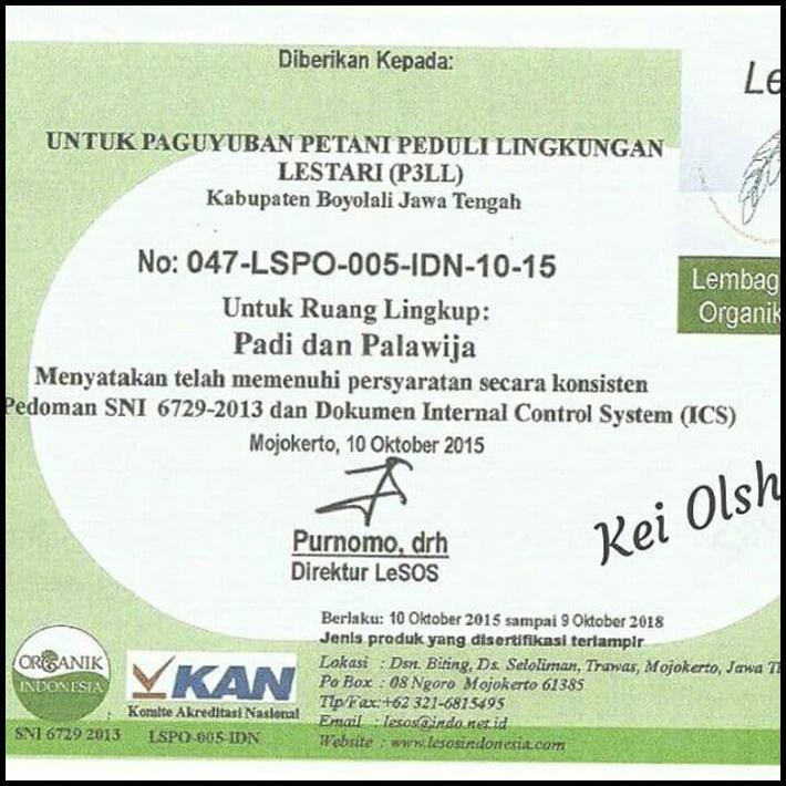 

DISKON BERAS PUTIH ORGANIK KUALITAS SUPER