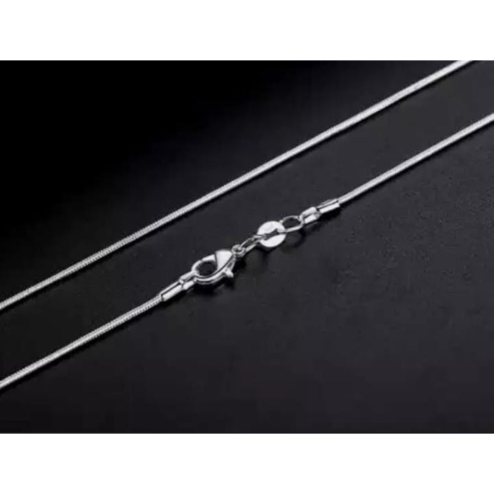 Kalung titanium tulang belut pria wanita stainless Steel