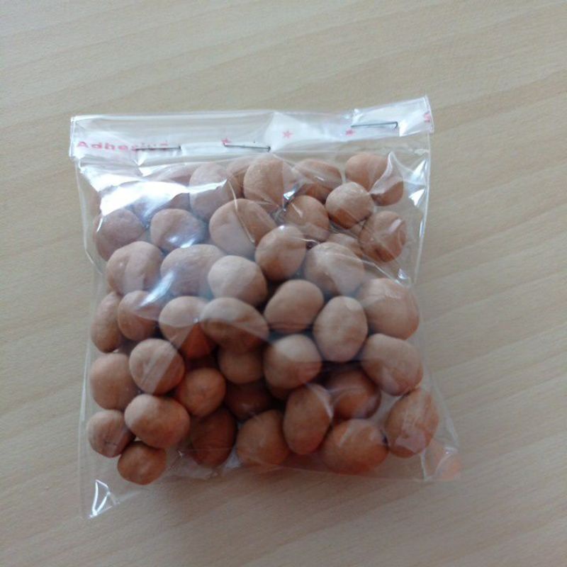 

kacang telor