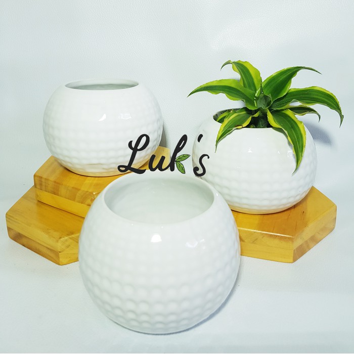 pot keramik mini pot tanaman kaktus sukulen pot souvenir pot keramik mini pot tanaman kaktus sukulen pot souvenir