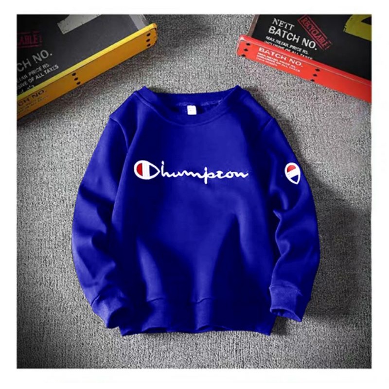 COD//DS//BAJU SWEATER HAMPION (M-L)