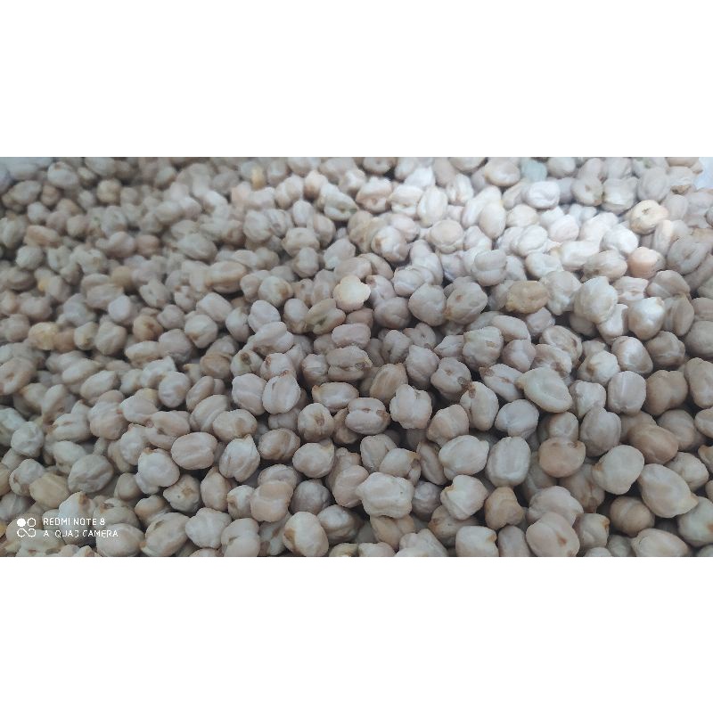 

Kacang Humus Mentah 1 Kg
