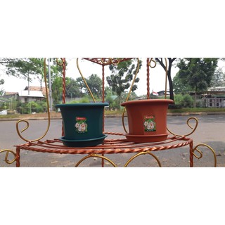  Pot  Bunga  Lion  Star  Trivetto  Tray  M  Shopee Indonesia